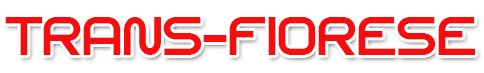 Trans-fiorese Fazendo Acontecer Sobre Rodas
